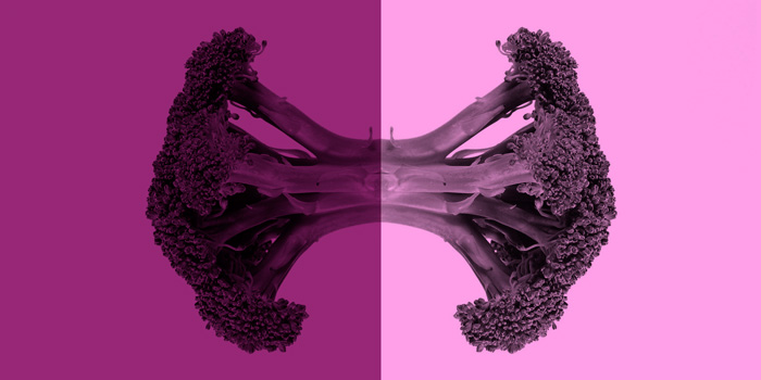 Le Court du mois - Février